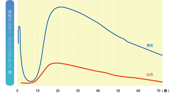 尋常性座瘡 ニキビ 新宿 高田馬場の皮膚科 美容皮膚科 山手皮フ科クリニック