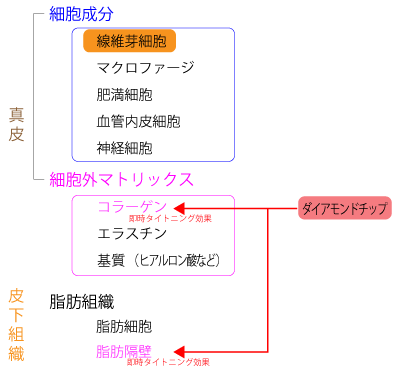 ダイアモンドチップの効果発現メカニズム