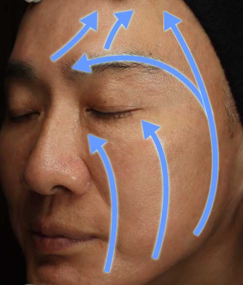 立毛筋の向きに沿って皮膚をストレッチ