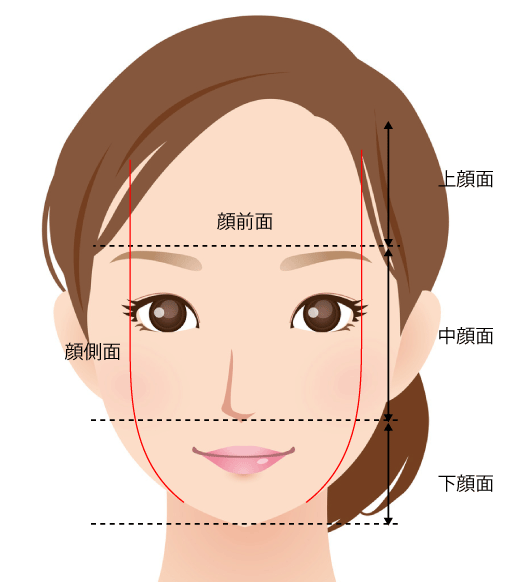 ヒアルロン酸注入で評価する顔面の区分