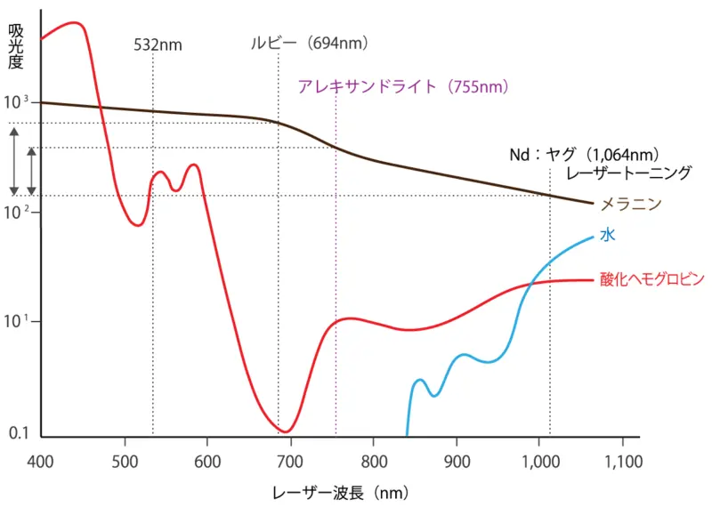 レーザー波長とメラニンへの吸光度の関係