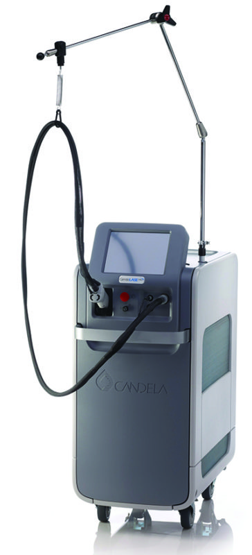 ジェントルレースプロ写真