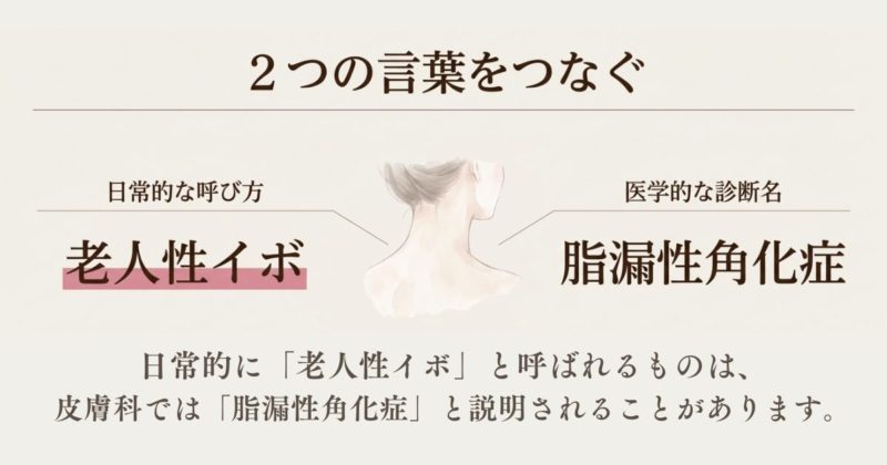 老人性イボという日常的な呼び方と、脂漏性角化症という医学的な診断名の関係を説明する図